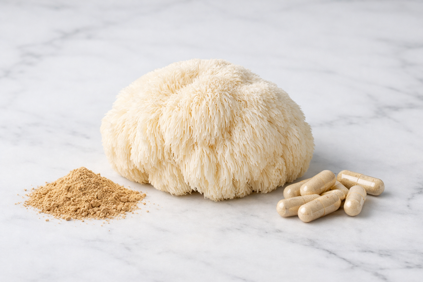 LIONS MANE