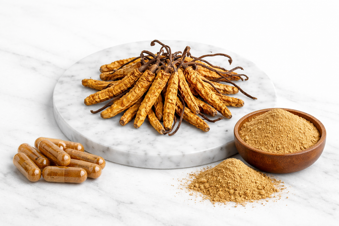 CORDYCEPS