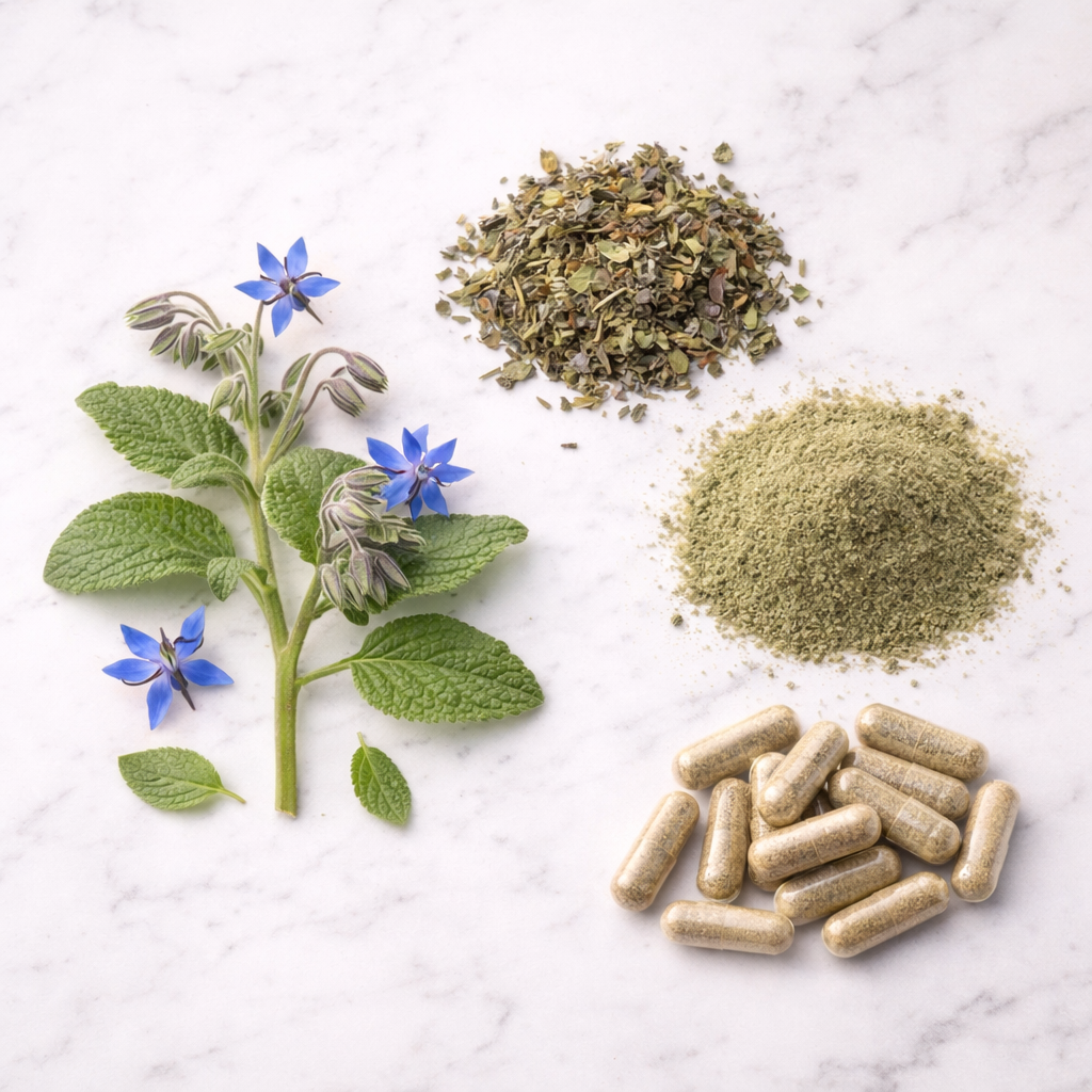 Borage