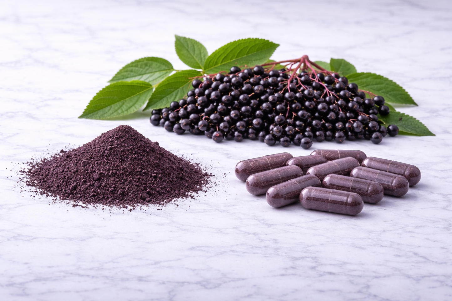 ELDERBERRY