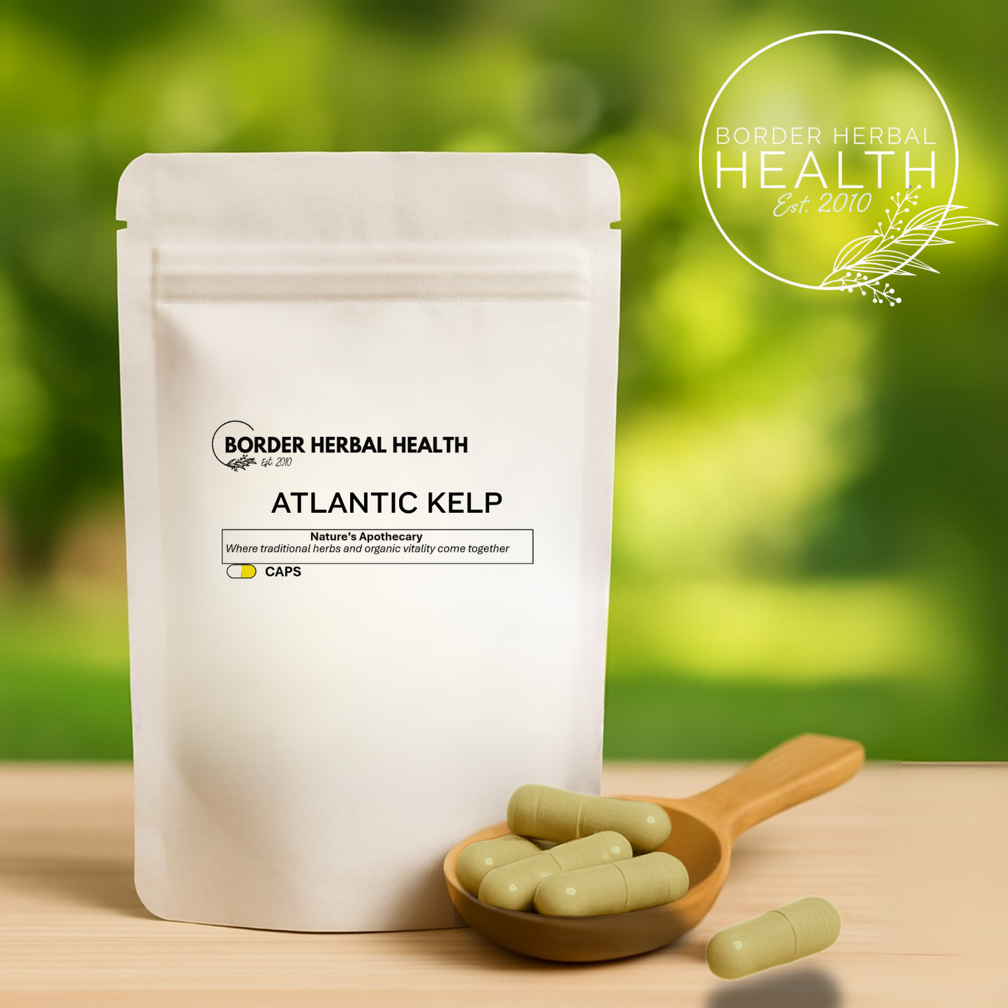 Atlantic Kelp