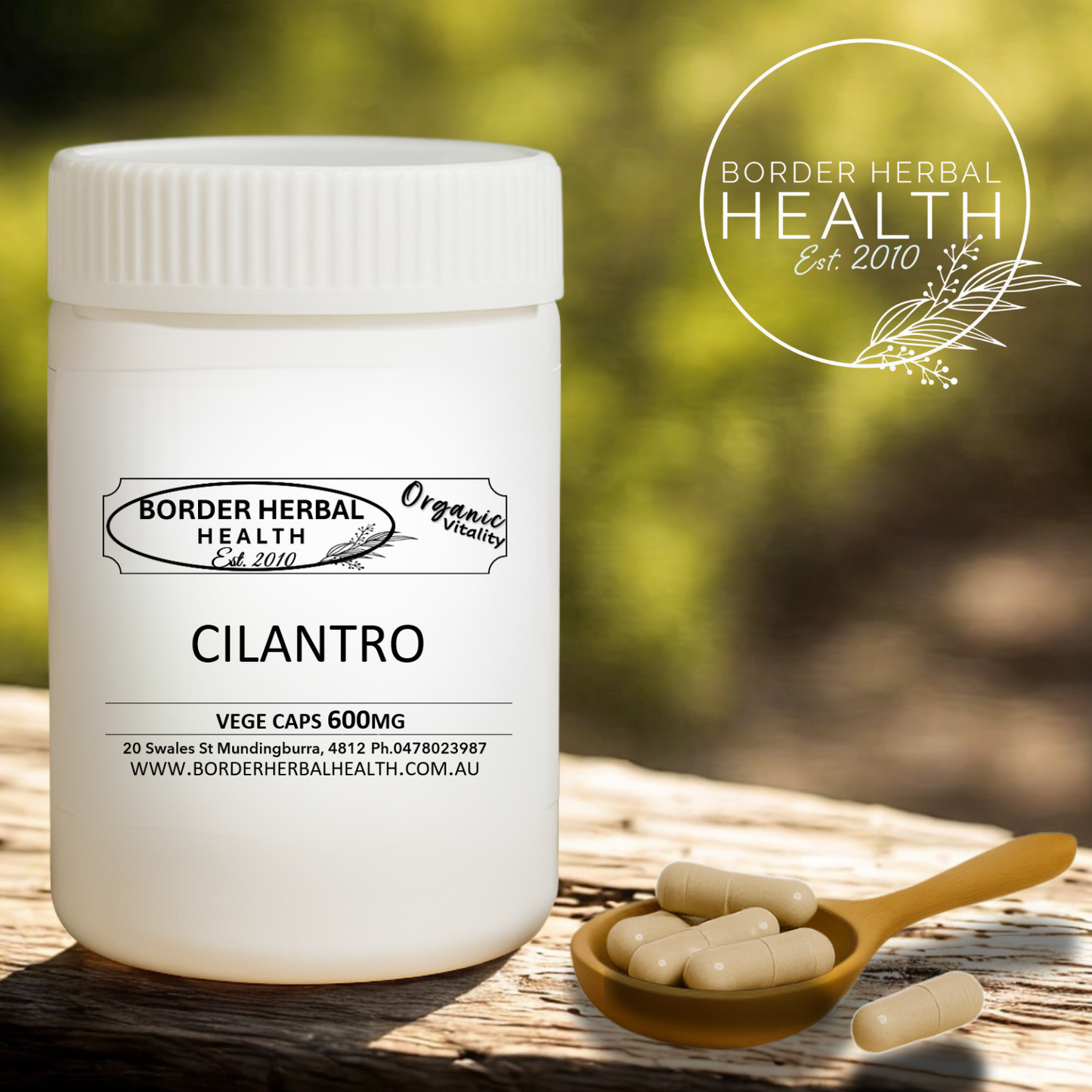 Cilantro (Coriander)