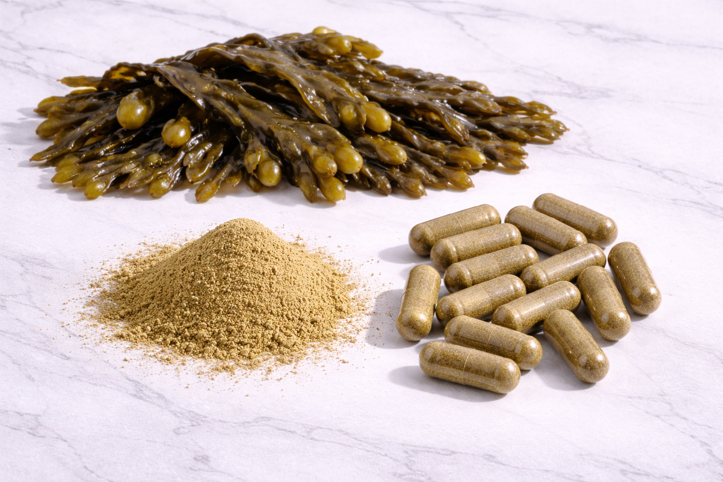 Bladderwrack