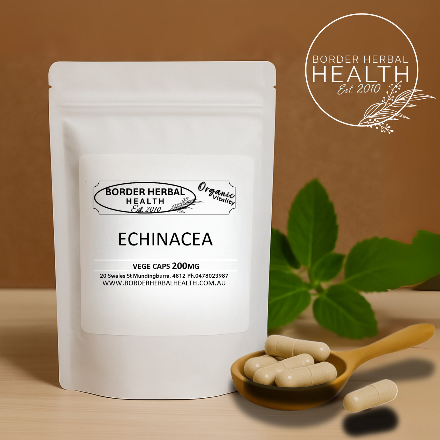 Echinacea