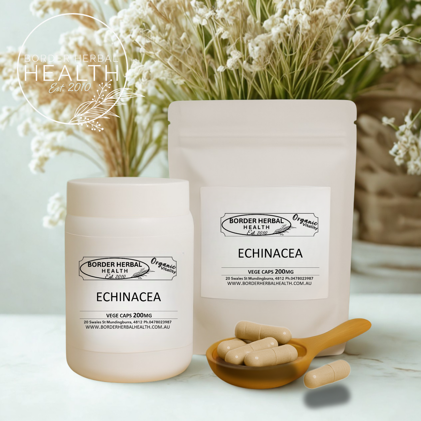 Echinacea