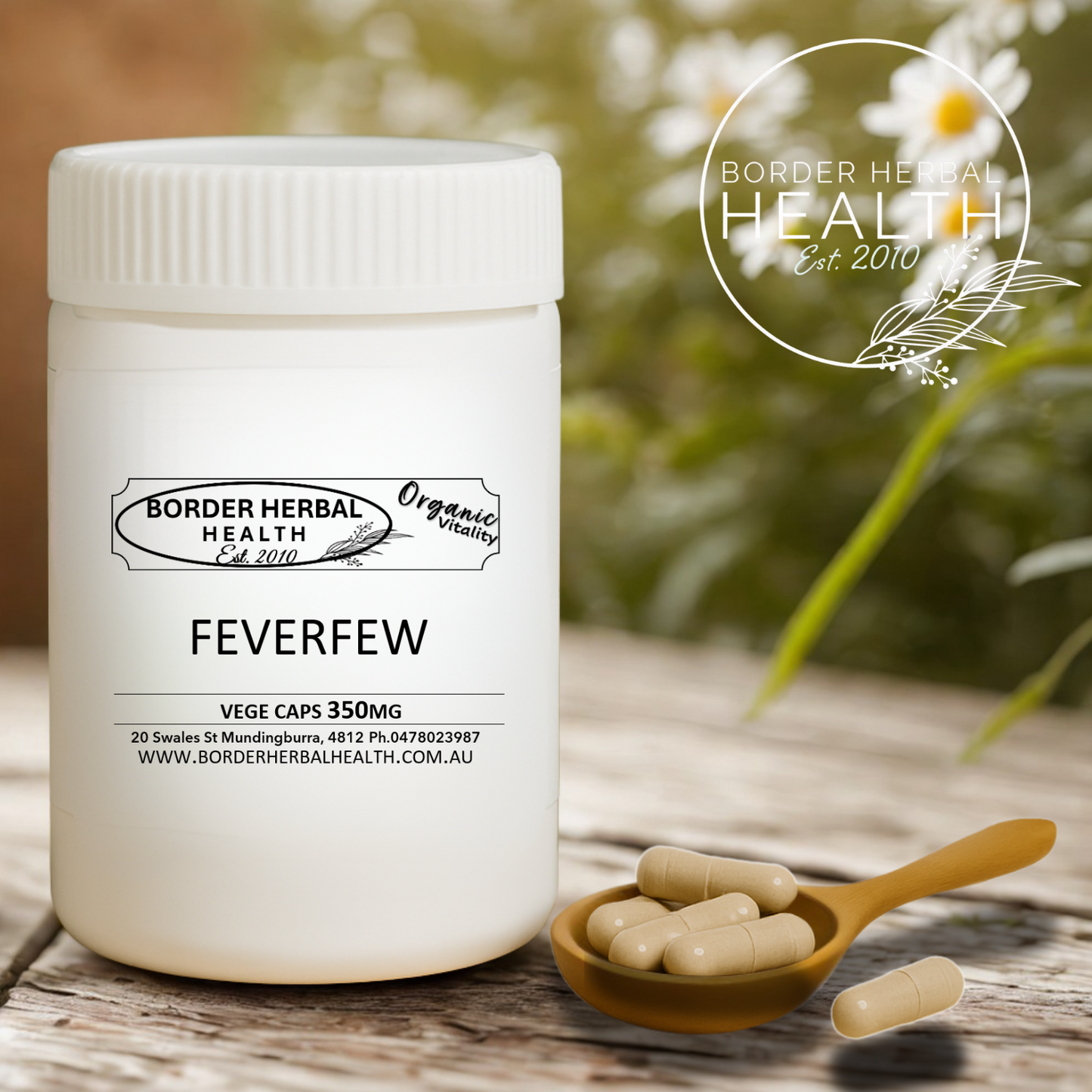 Feverfew