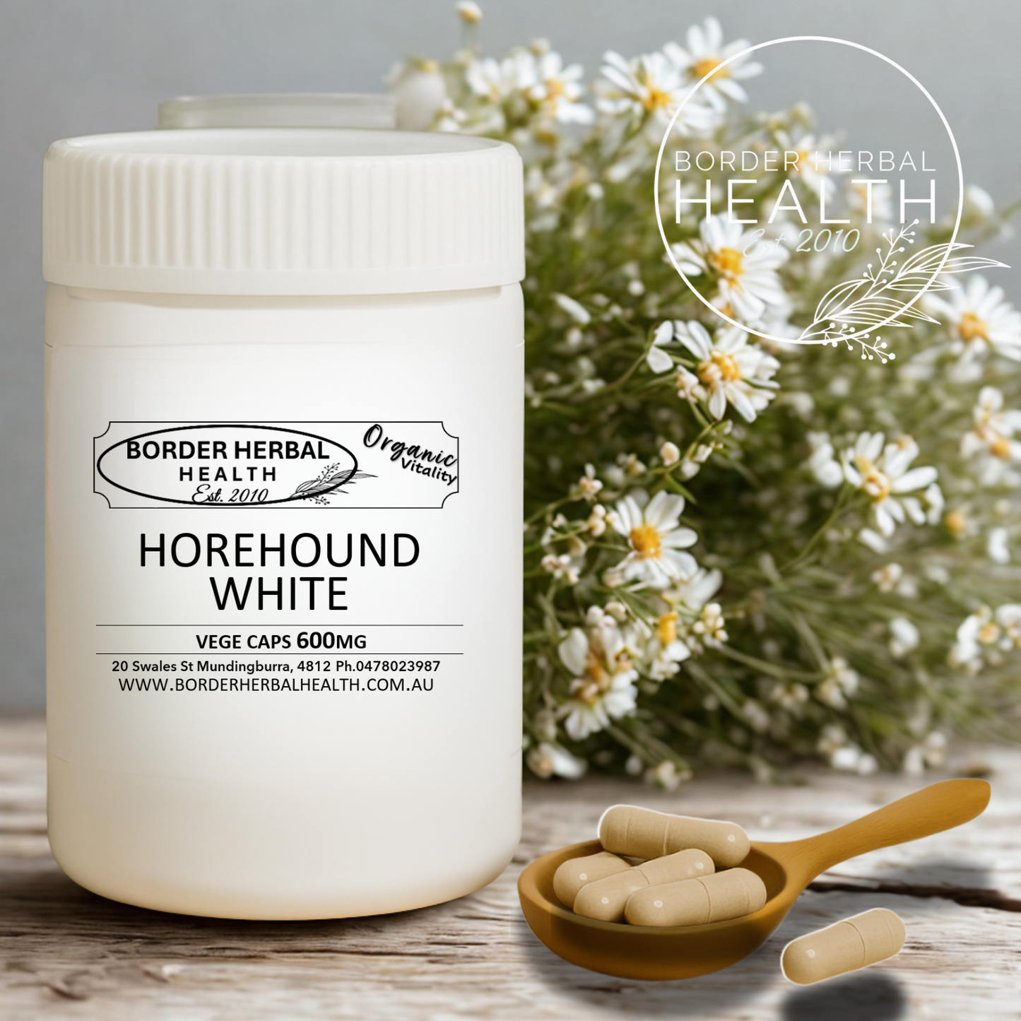 Horehound White