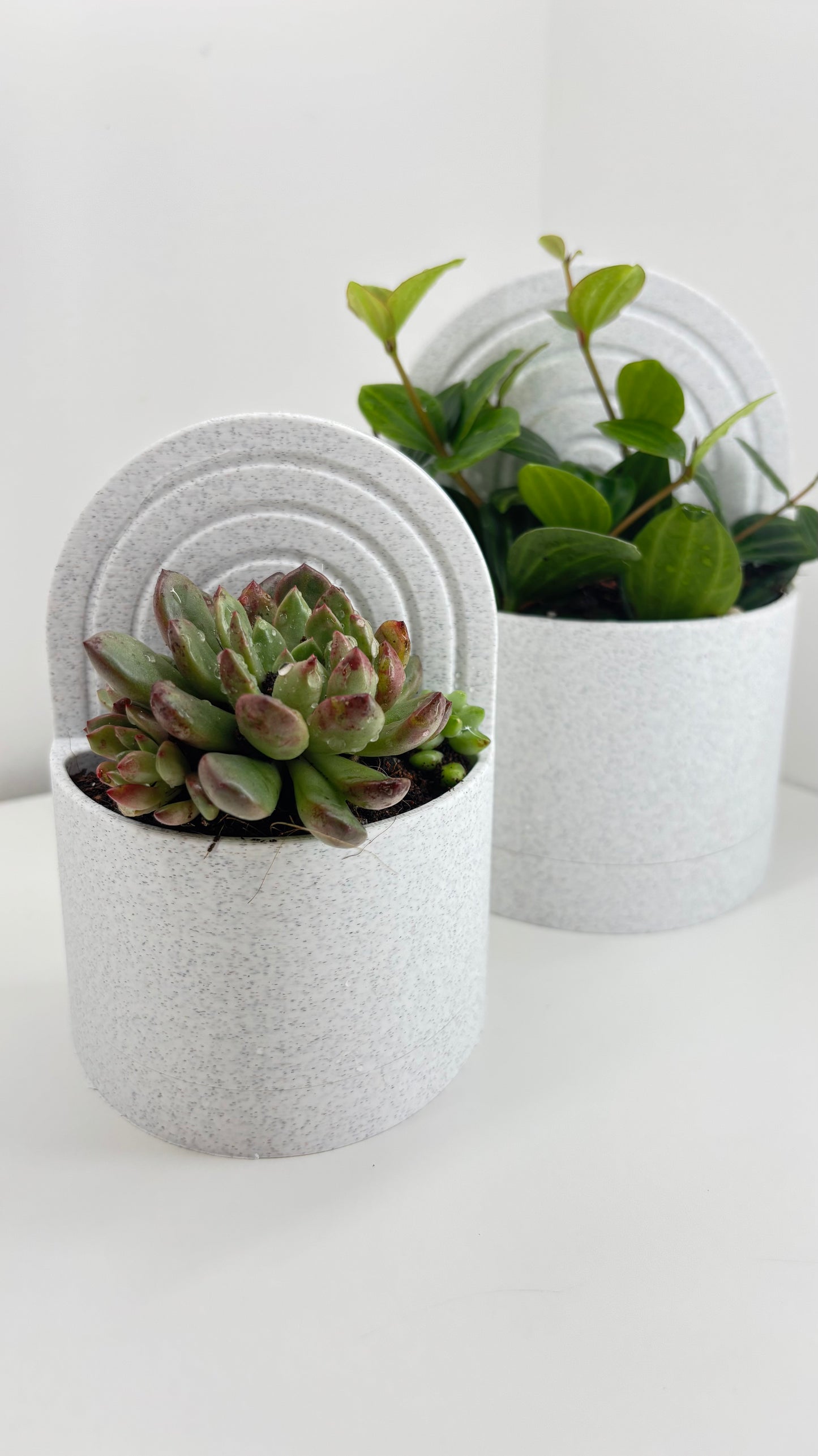 Bookend Planter