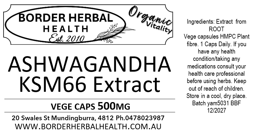 ASHWAGANDHA KSM66 Extract