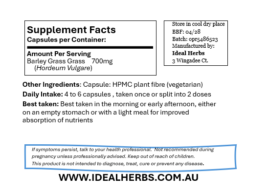 Barley Grass