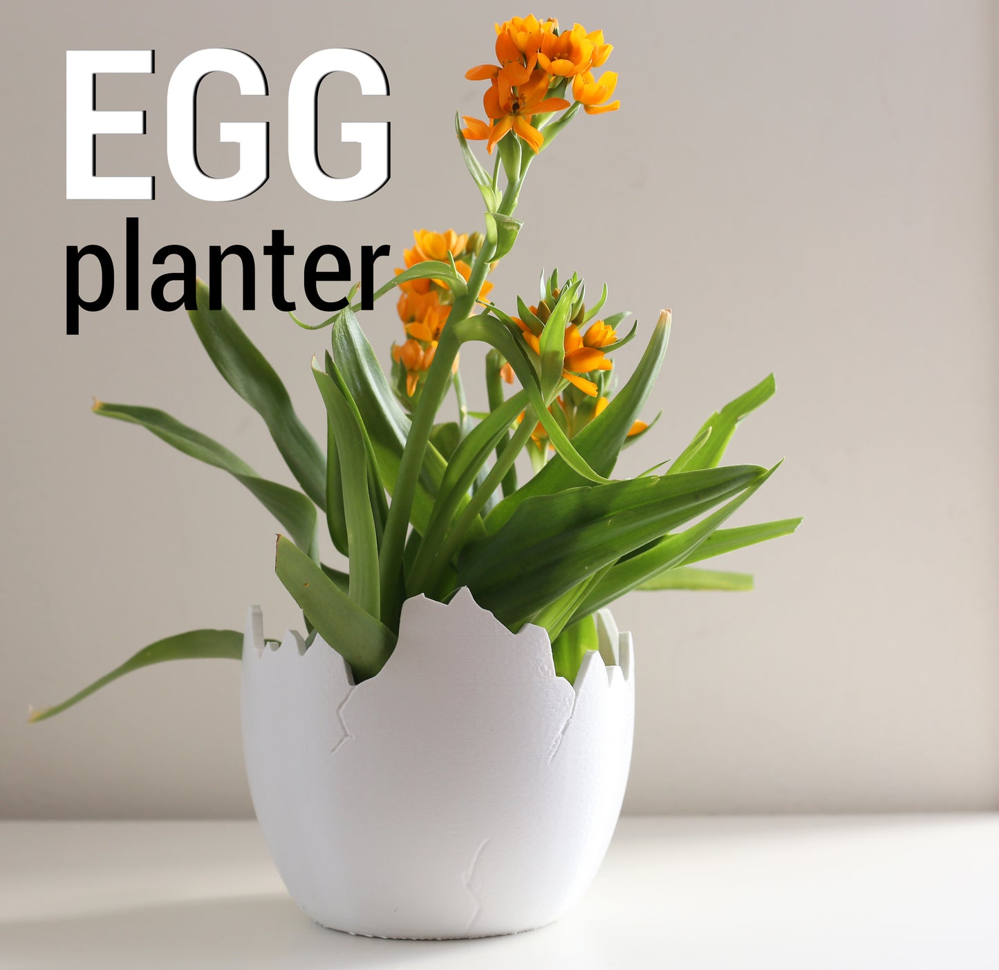 Egg Planter B