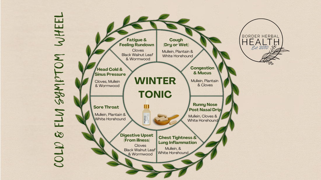 New Product Launch - Winter Tonic Recipe