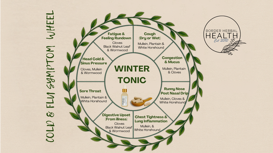 New Product Launch - Winter Tonic Recipe
