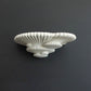 Tinder Fungus Wall Shelf