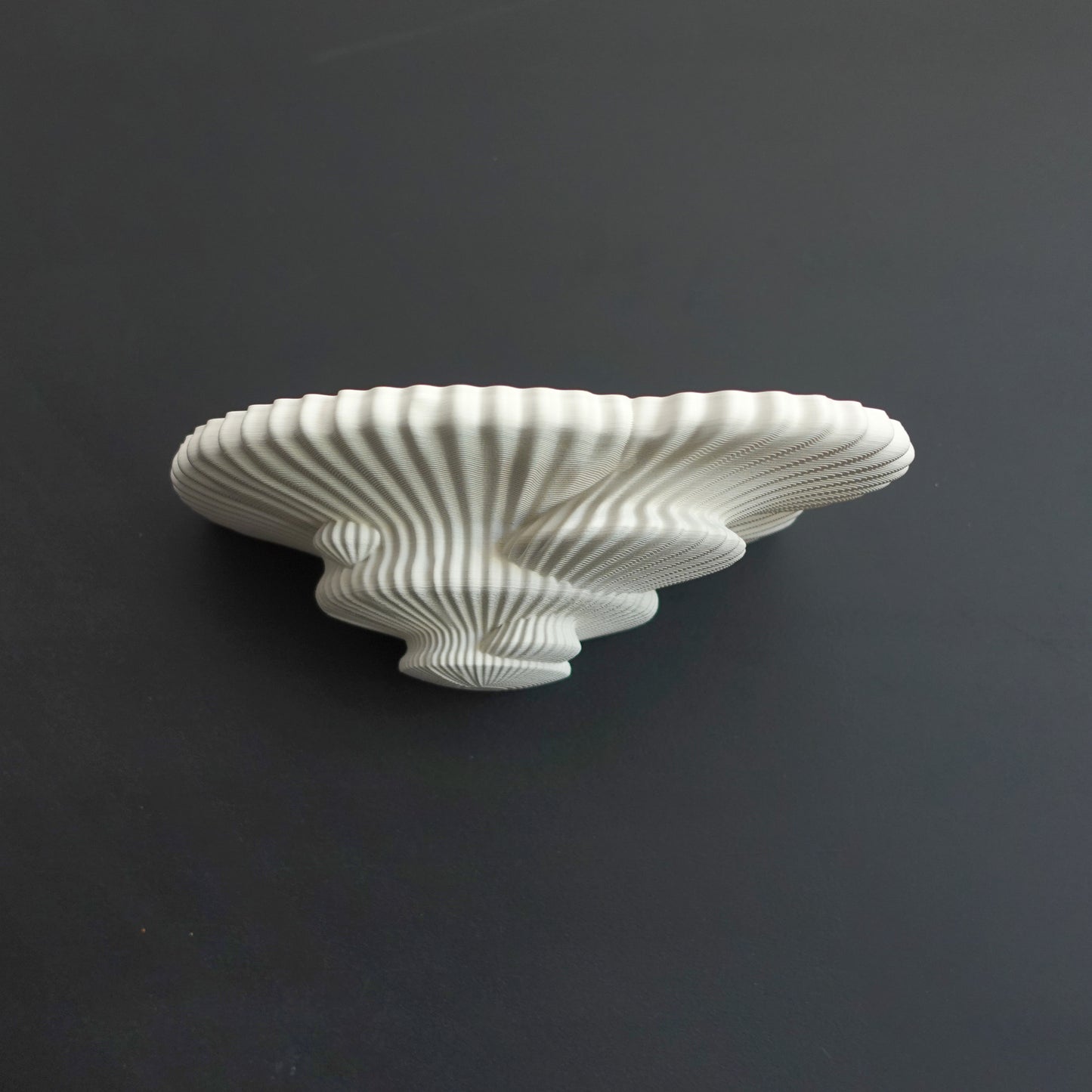 Tinder Fungus Wall Shelf