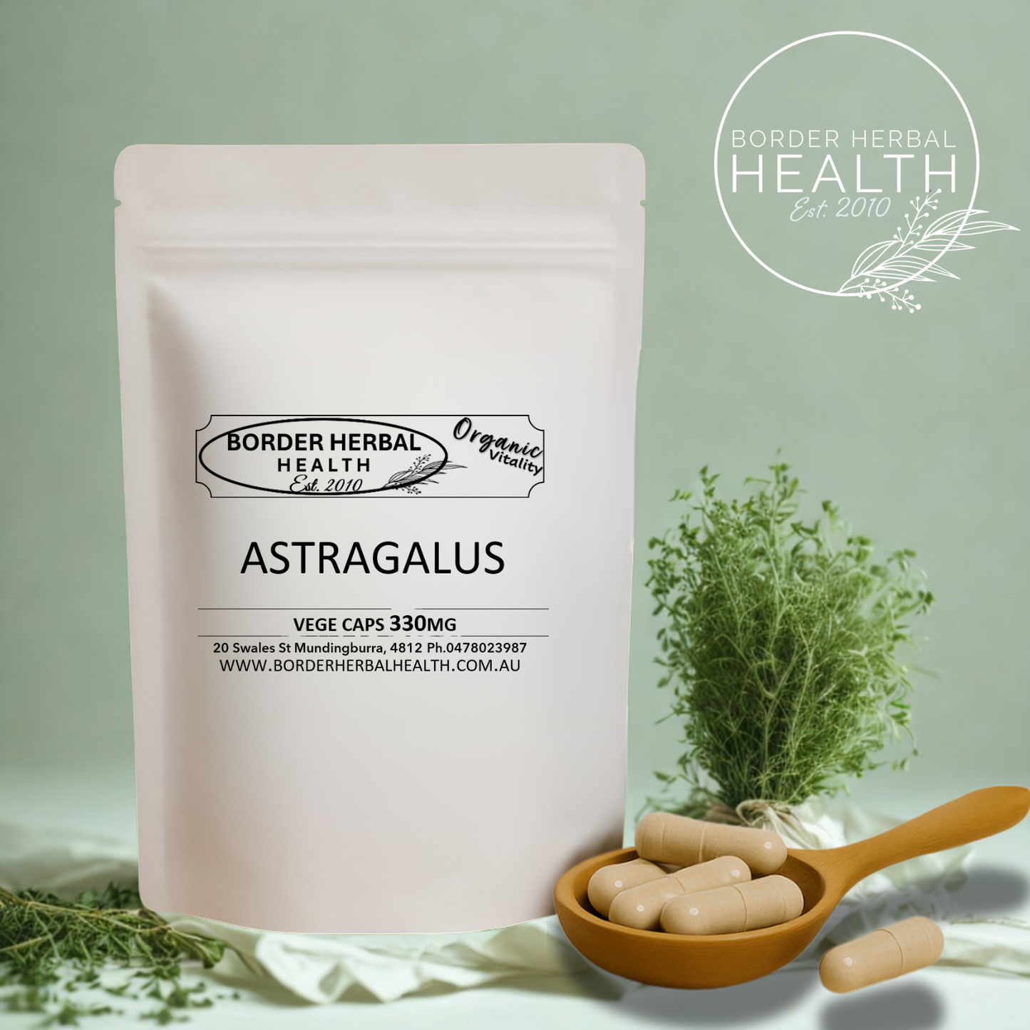 Astragalus