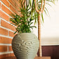Capulla Vase