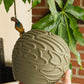Capulla Vase