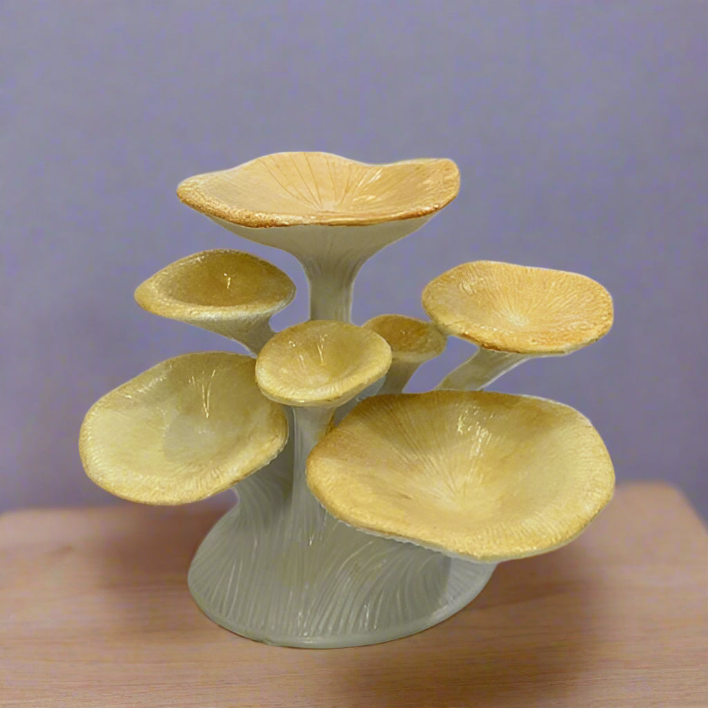 Mushroom Jewellry Stand