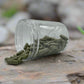 andrographis capsules