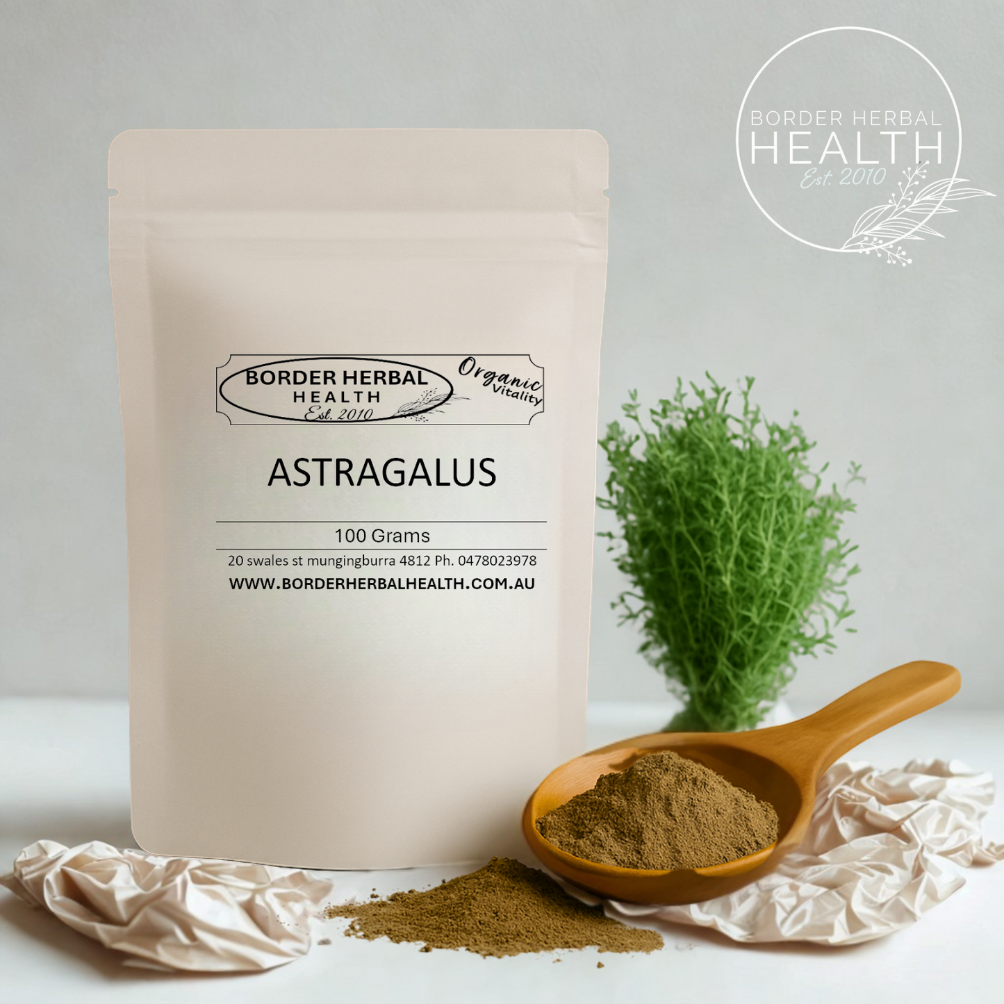 Astragalus
