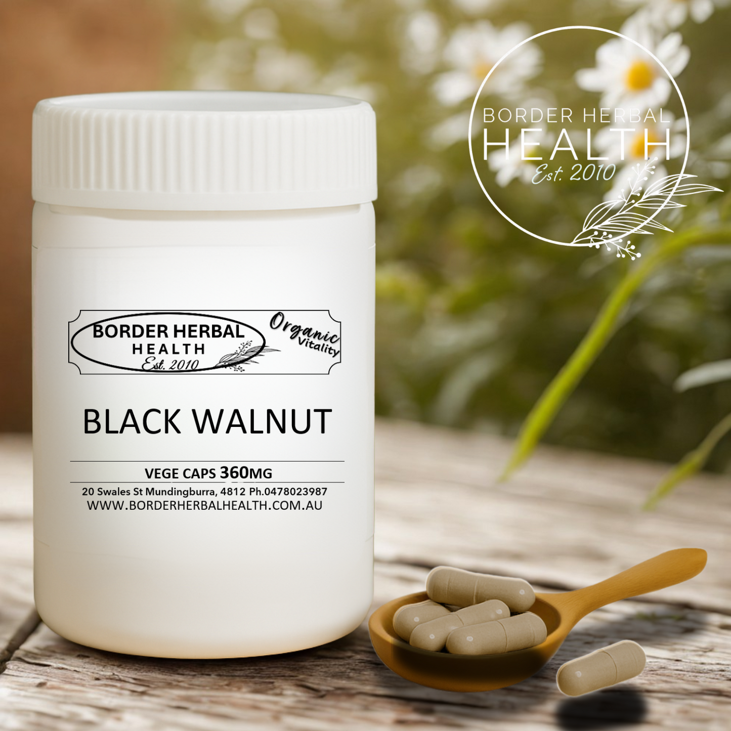 Black Walnut