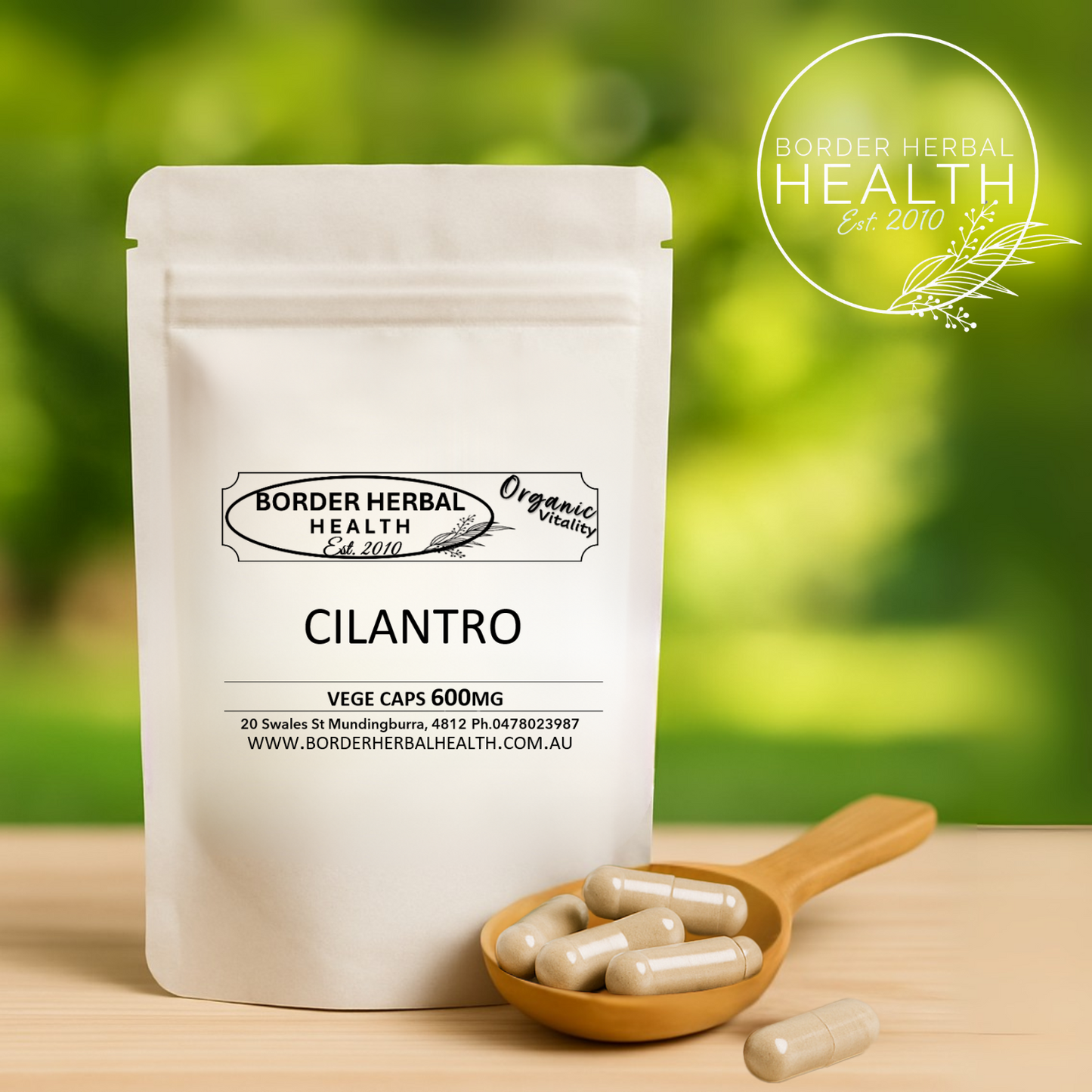 Cilantro (Coriander)