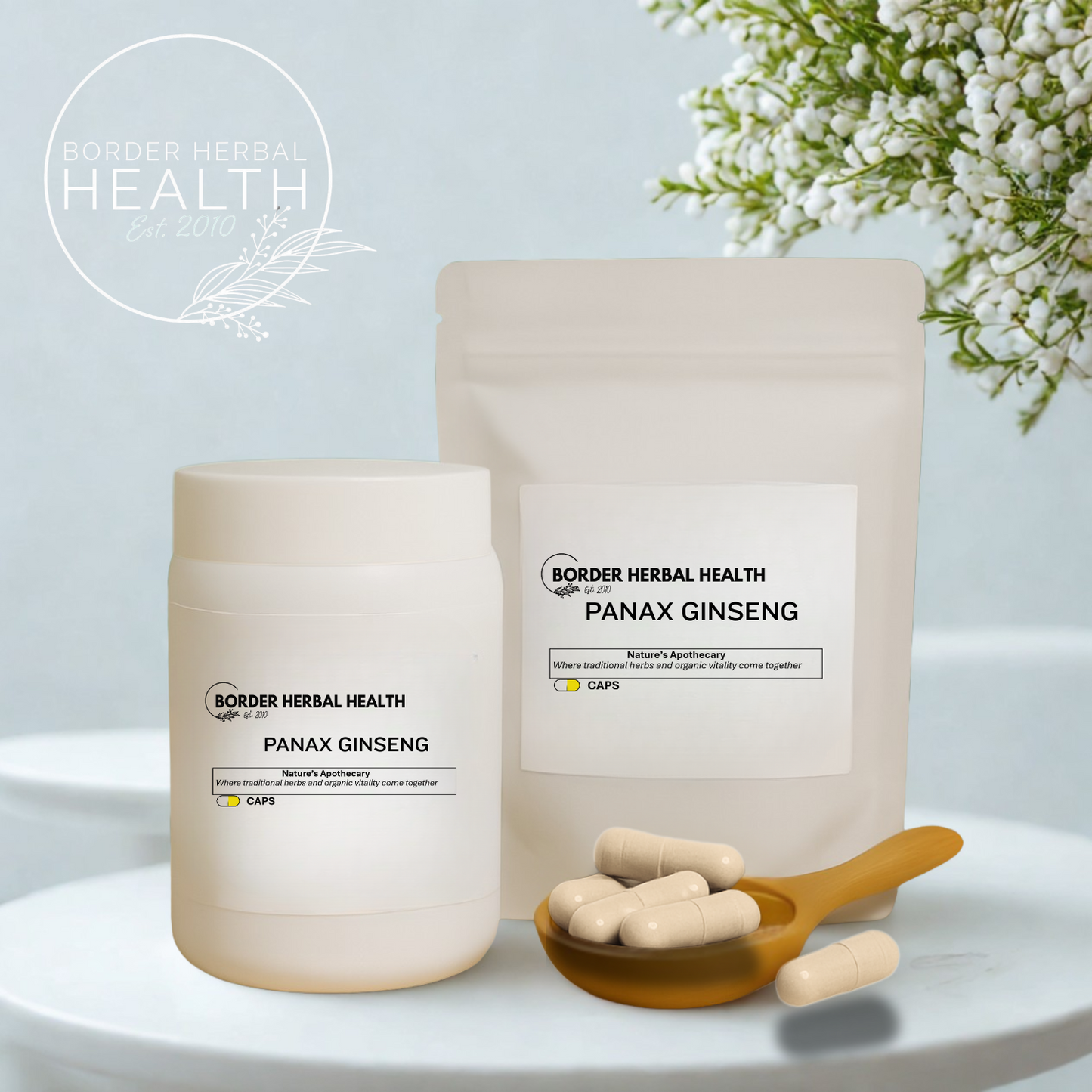 Panax Ginseng