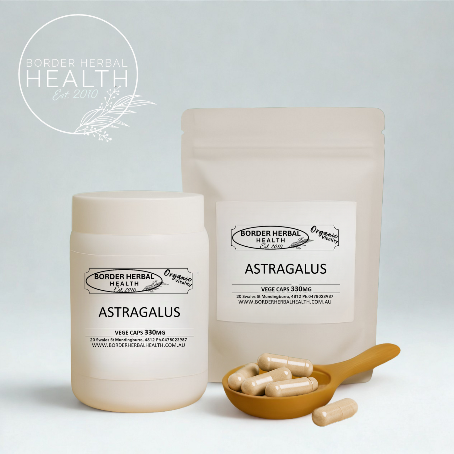 Astragalus