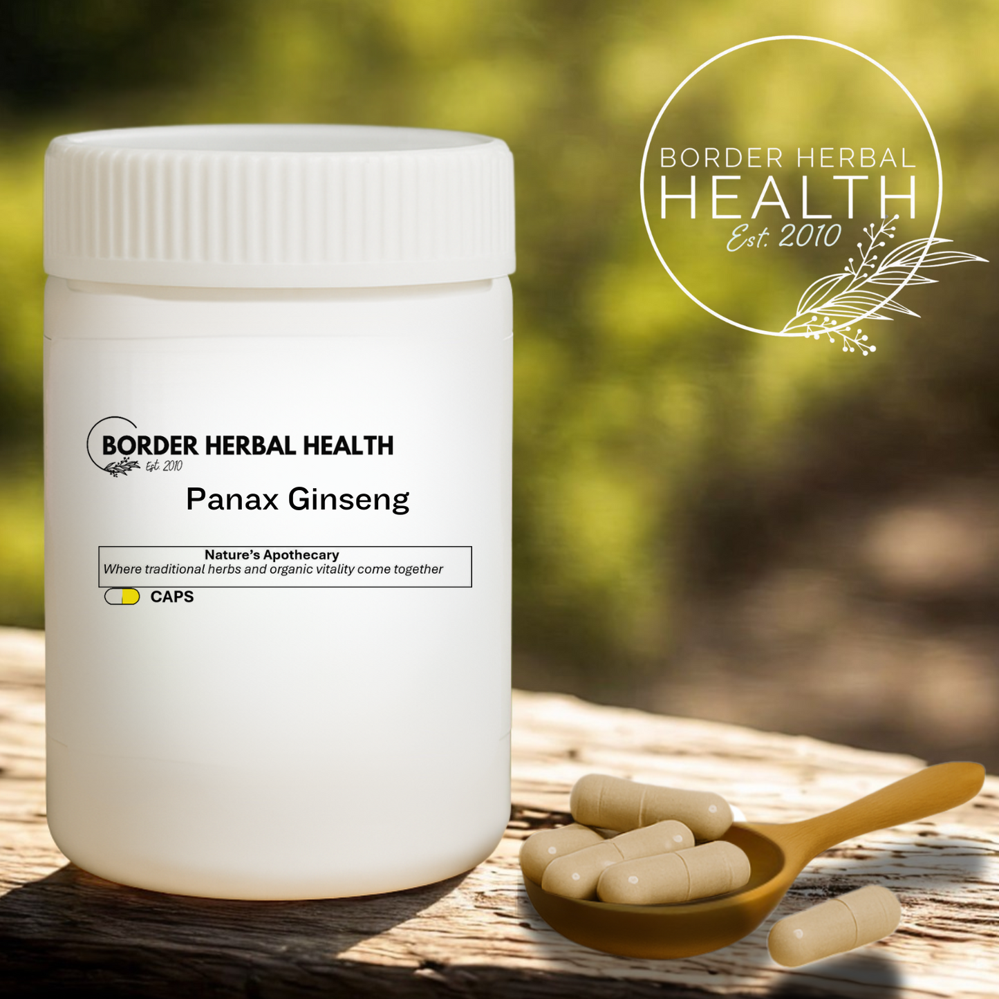 Panax Ginseng