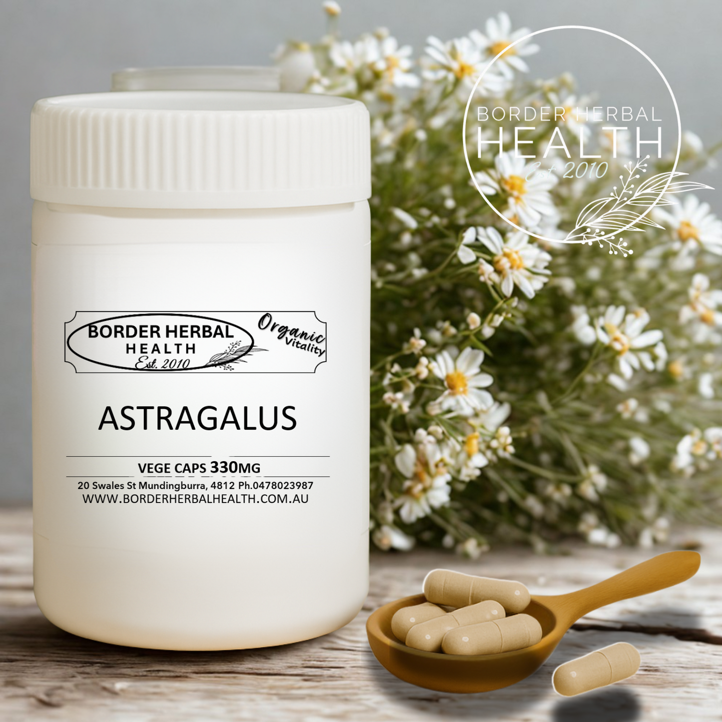 Astragalus