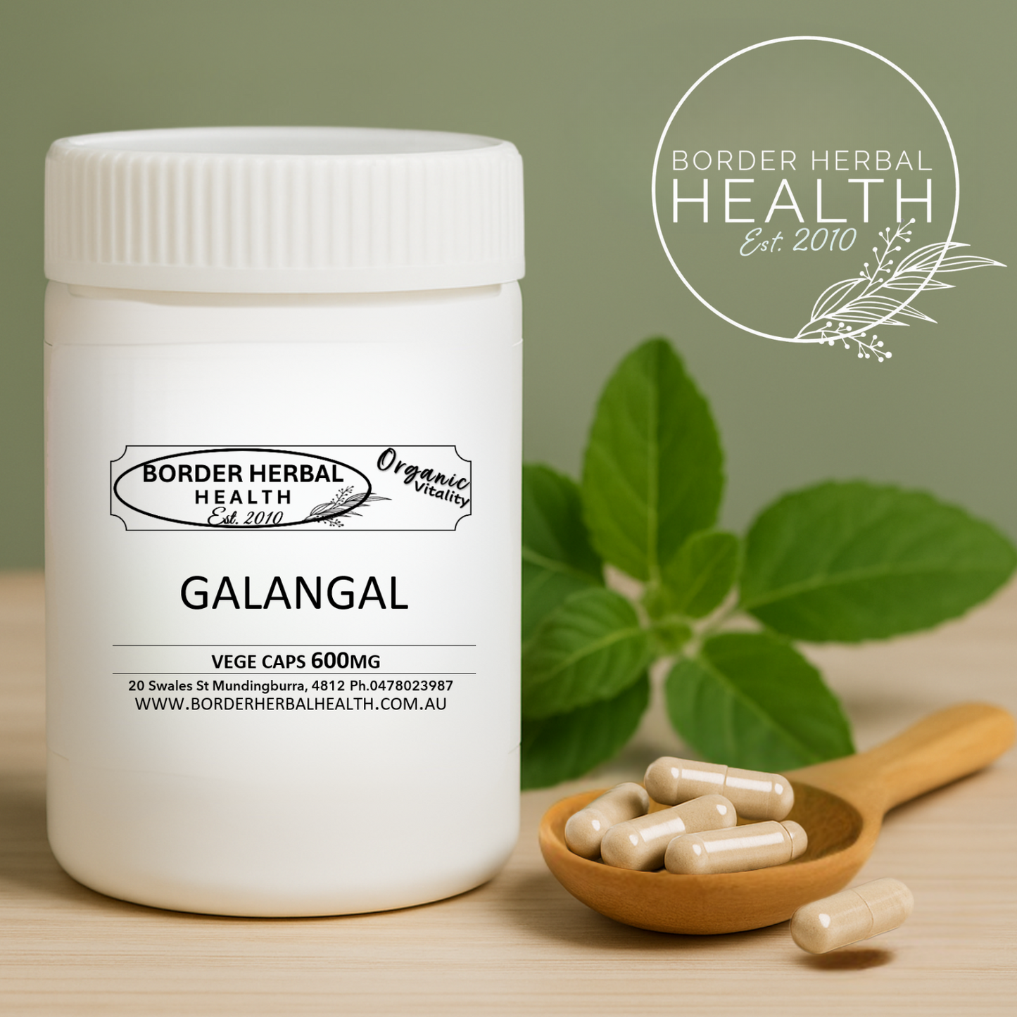 Galangal