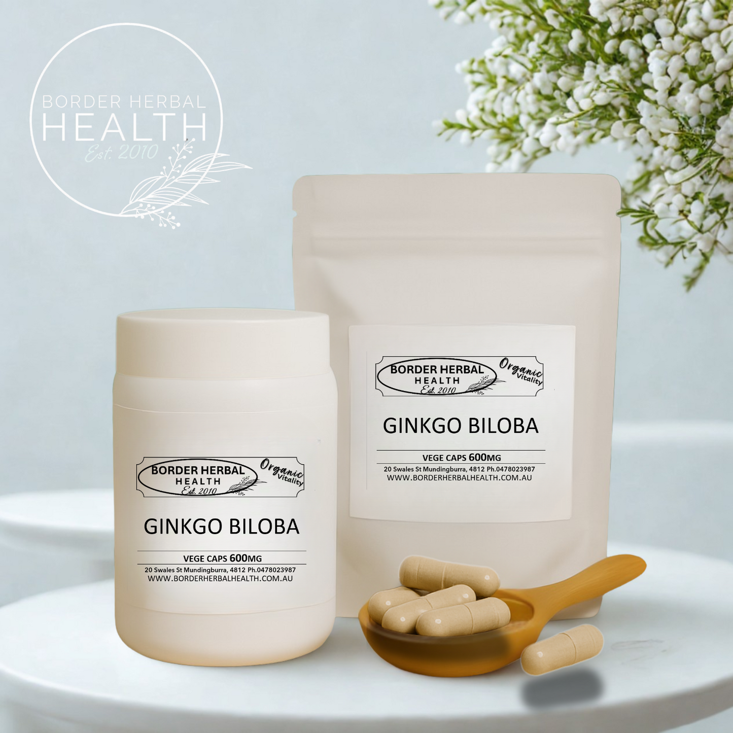 Ginkgo Biloba