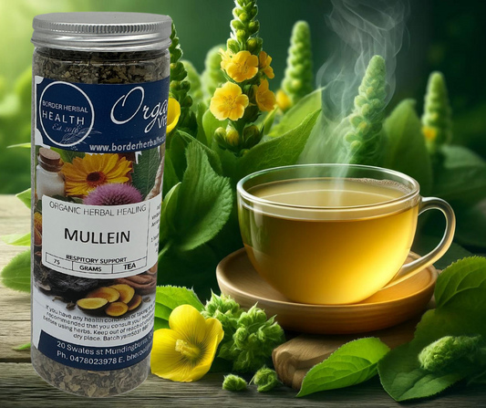 Mullein Tea 75 Grams