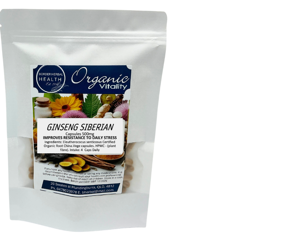 Siberian Ginseng