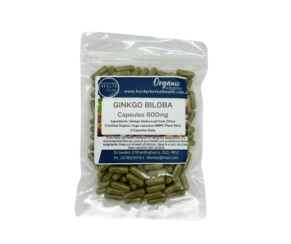 Ginkgo Biloba