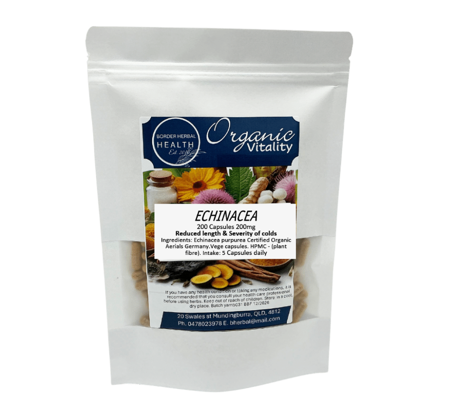 Echinacea