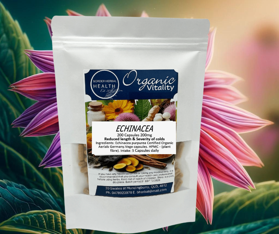 Echinacea