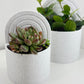 Bookend Planter