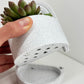 Bookend Planter