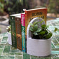 Bookend Planter