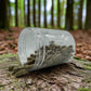 Black Cohosh Bottle