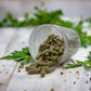aniseed capsules