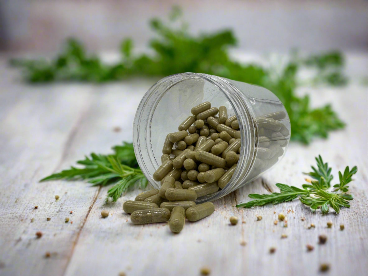 aniseed capsules