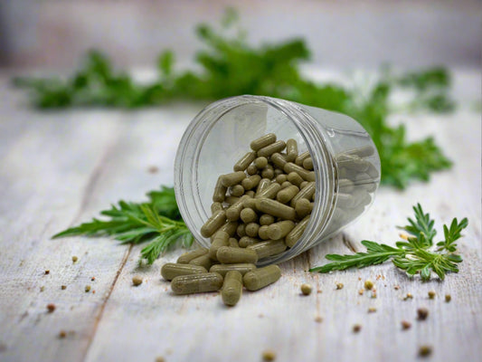 aniseed capsules