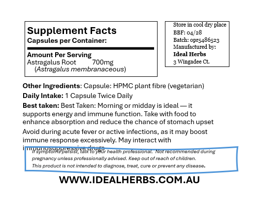 Astragalus