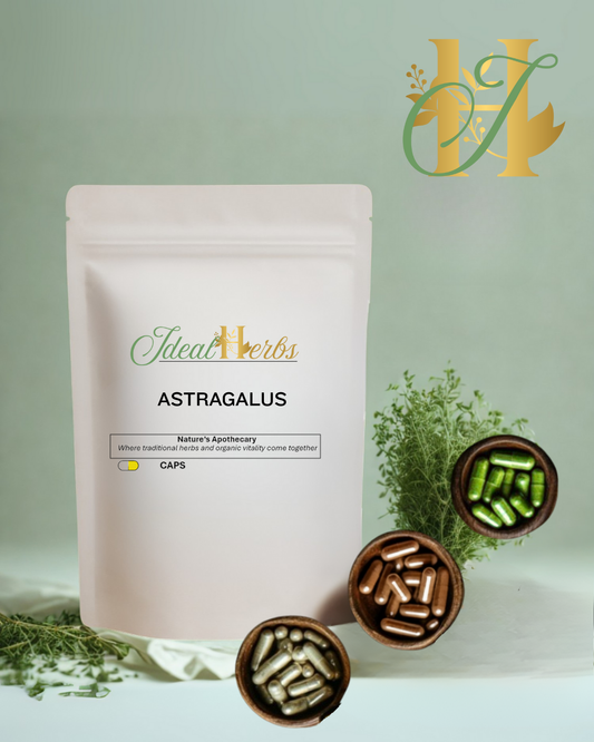 Astragalus Capsules fs