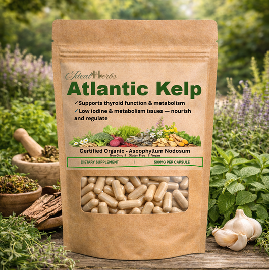 Atlantic Kelp
