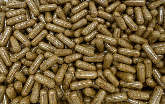 Cilantro (Coriander) Bottle