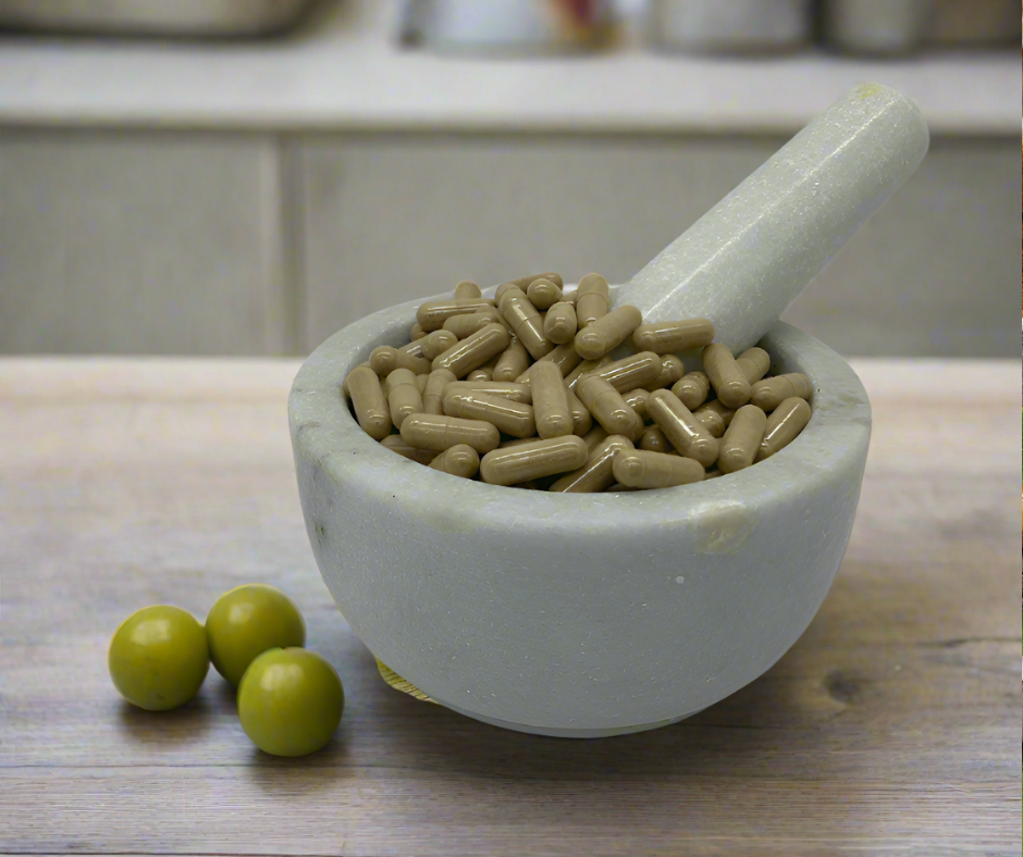 angelica capsules